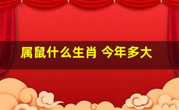 属鼠什么生肖 今年多大